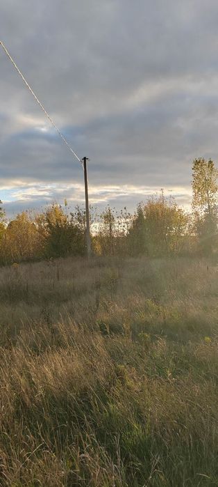 Земельна ділянка 2,8 га в с. Расавка, Кагарлицький р-н, Київська обл