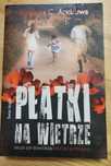 Książka Płatki na Wietrze, Virginia C. Andrews