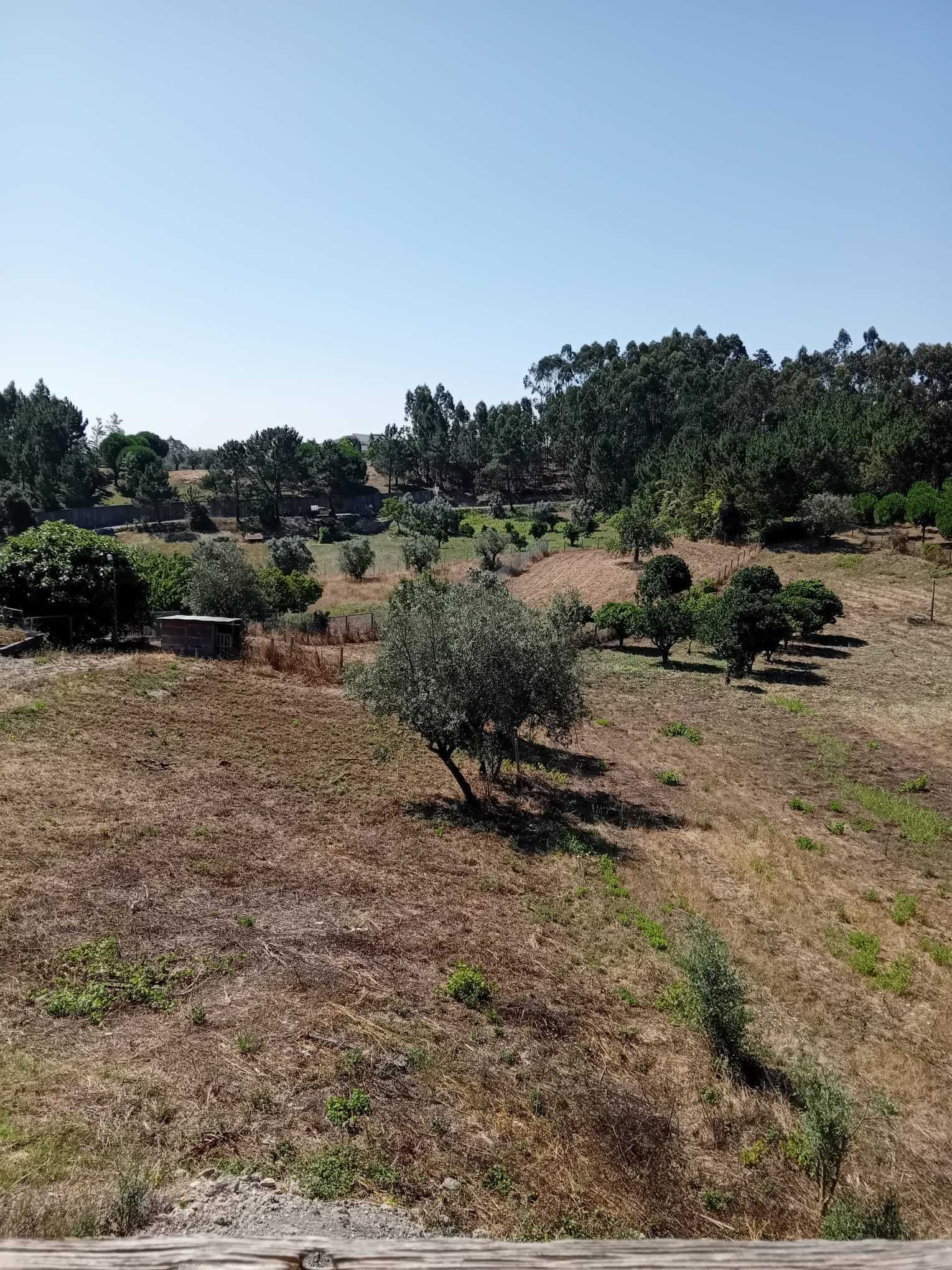 Venda de quinta na Quinta da Sardinha na estrada principal .