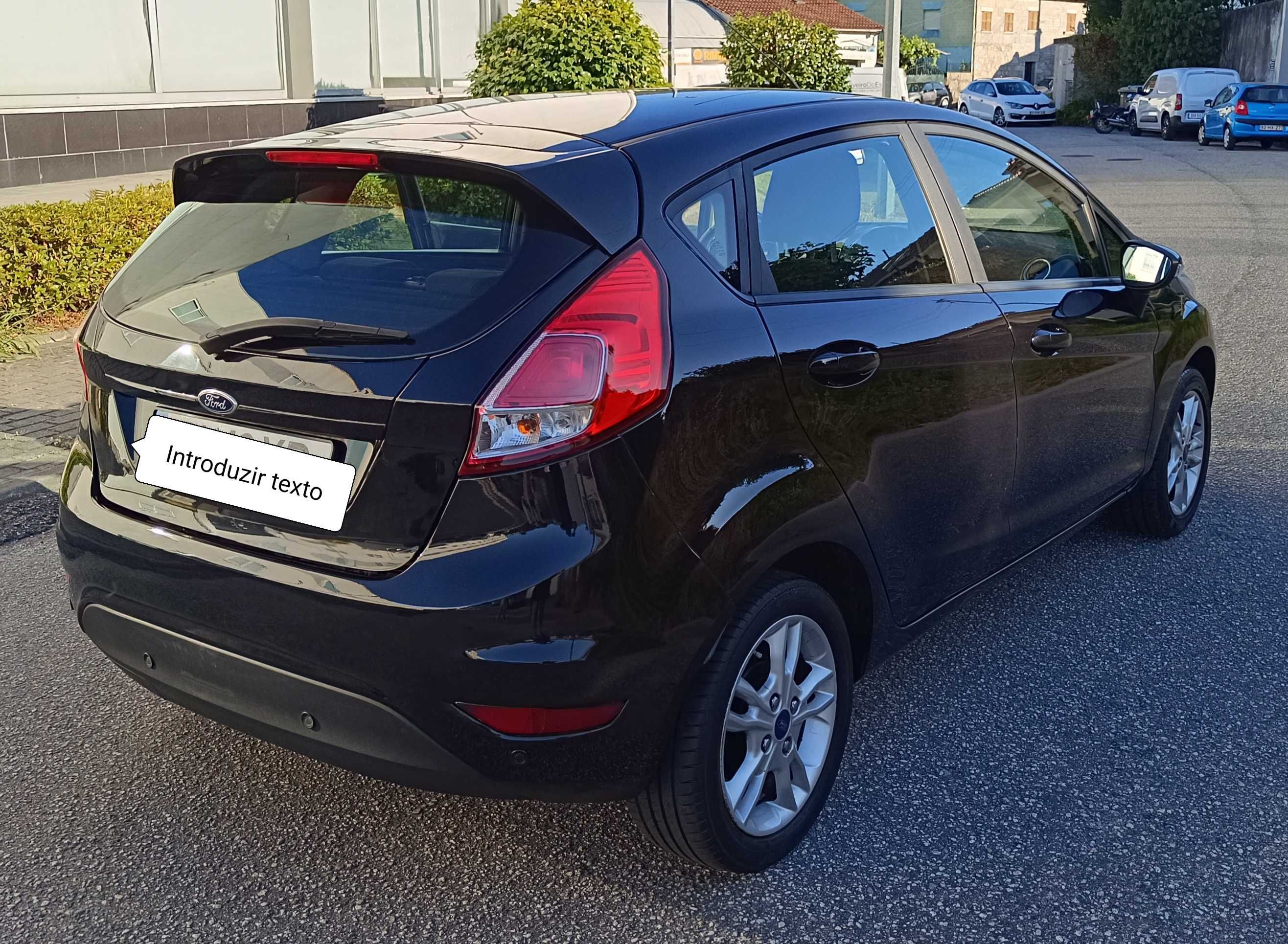 FORD fiesta ecobust