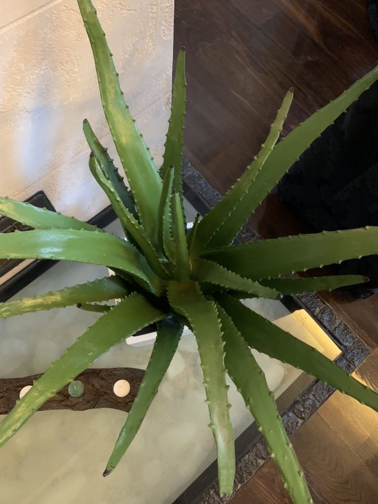 Aloes sztuczny Almi Decor 2 szt