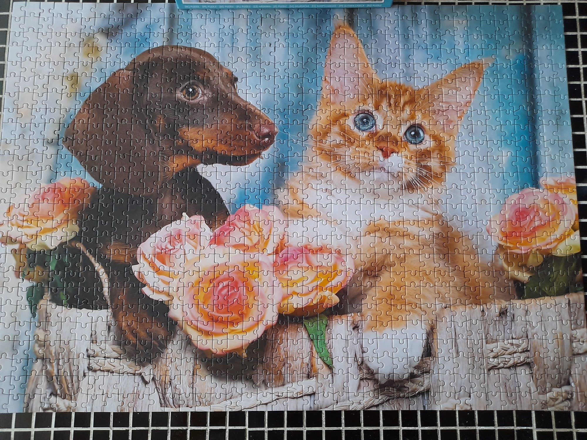 Puzzle 1000 elementów