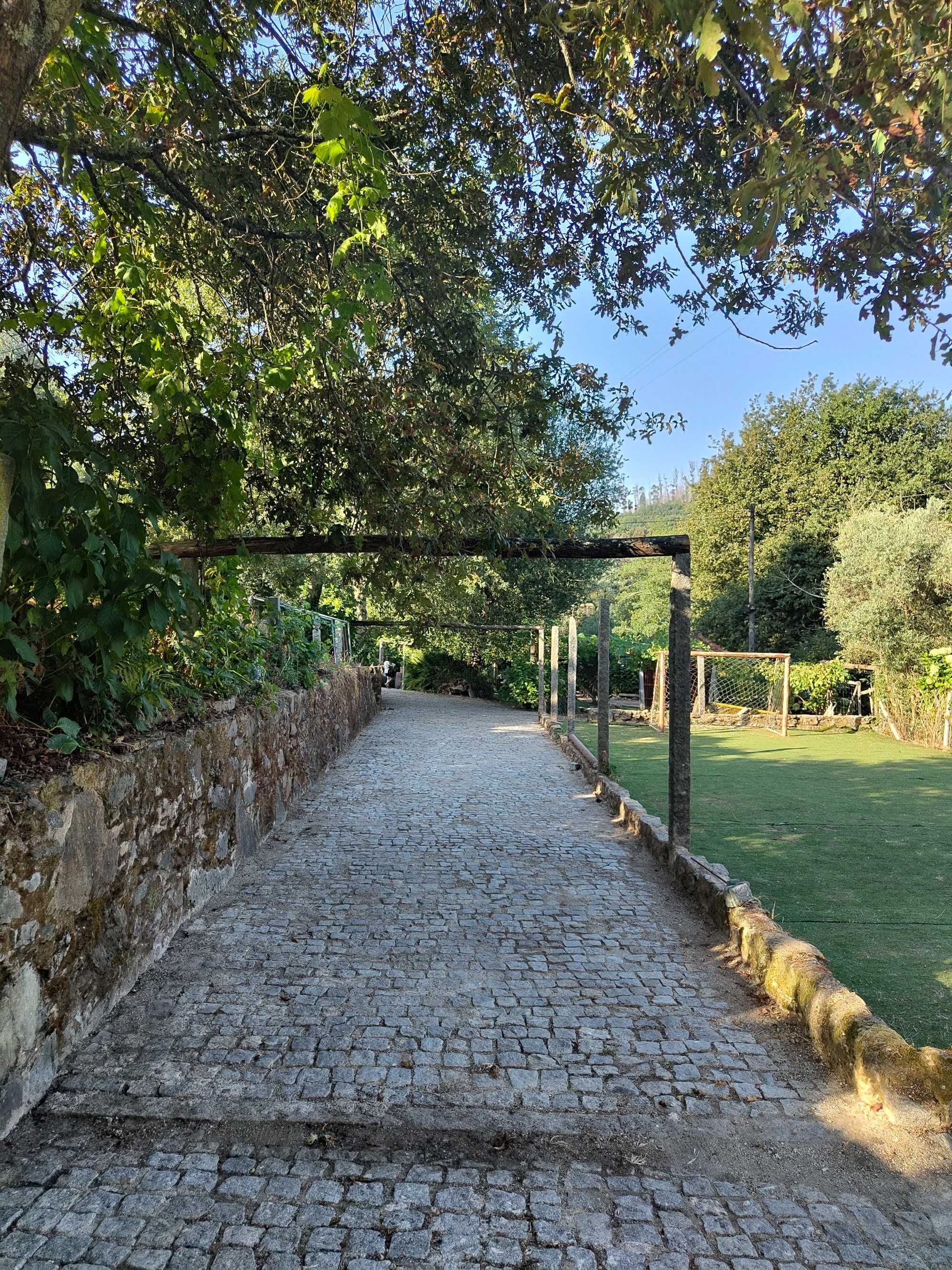Vende-se quintinha confinante com o rio Caima em Oliveira de Azeméis