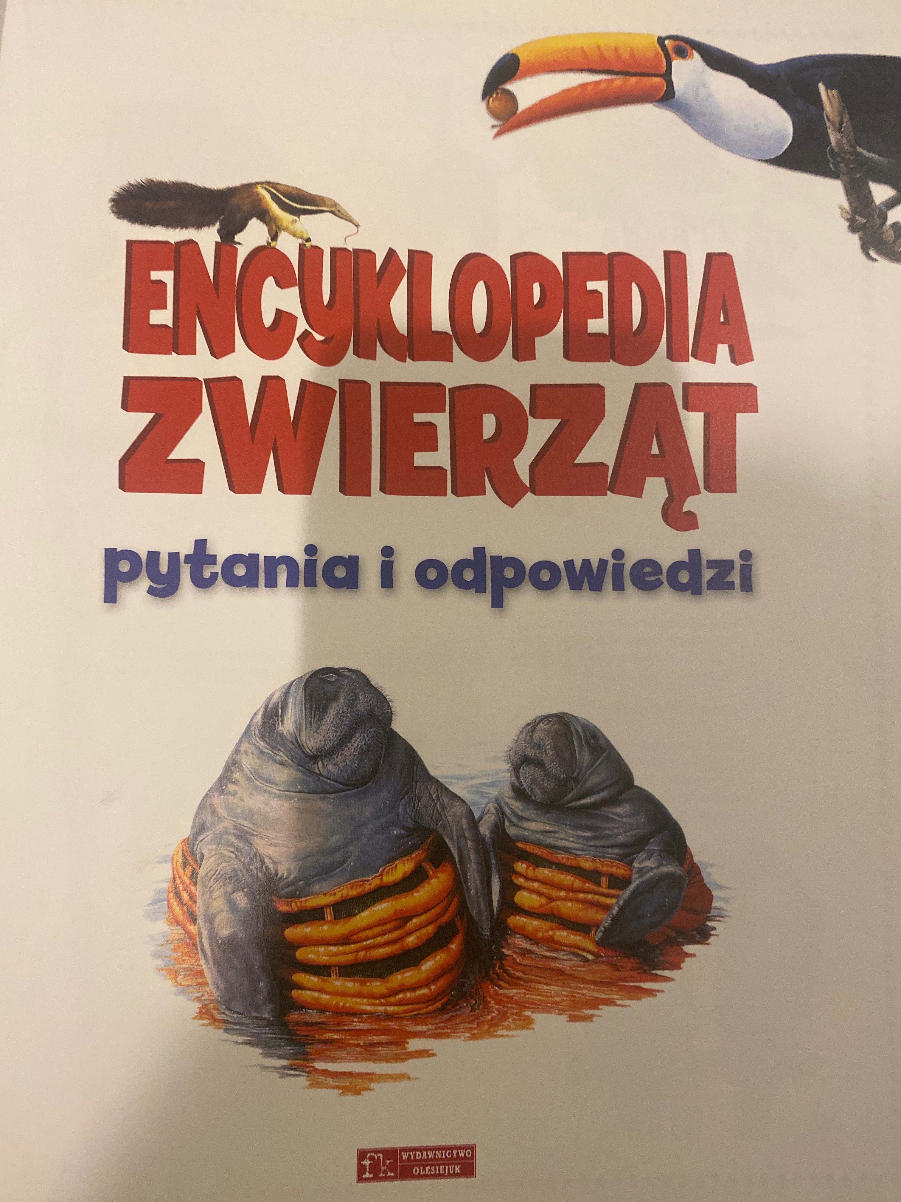 Sprzedam piękną encyklopedię zwierząt pytania i odpowiedzi