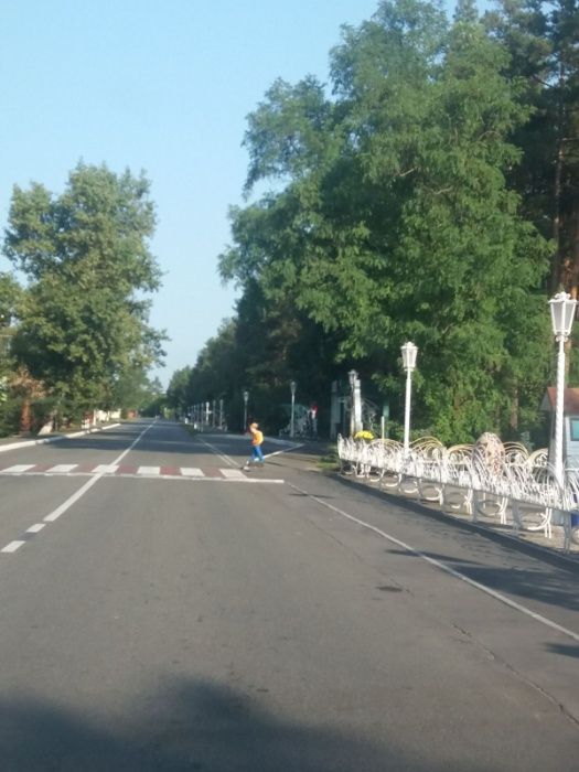 Земельна ділянка 16 соток в лісі с. Проців під будівництво