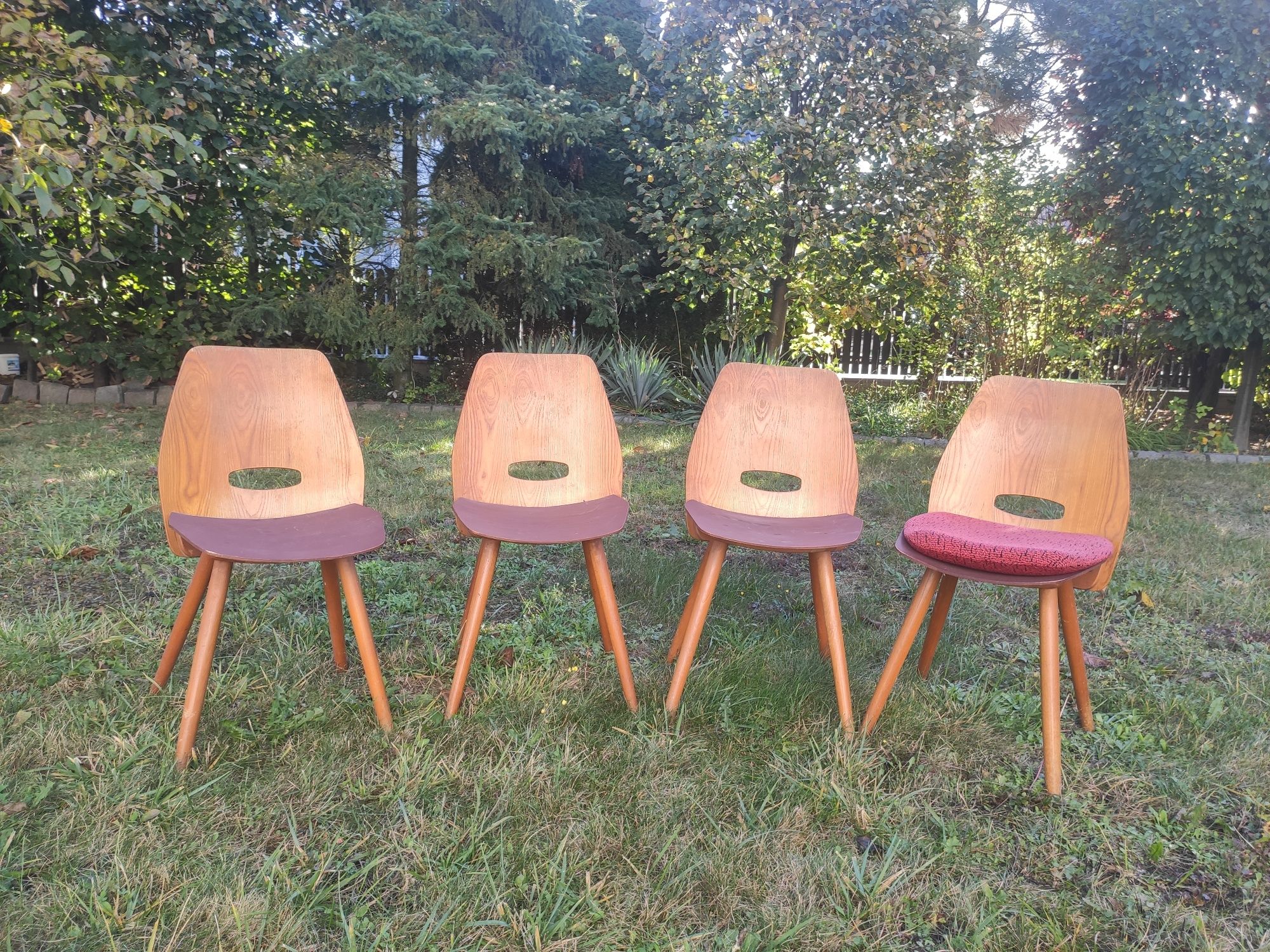 4 Krzesła Tatra František Jirák Czechosłowacja PRL vintage design