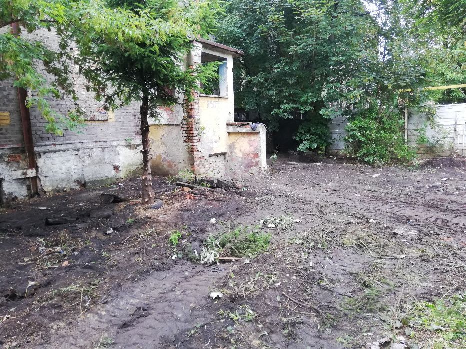 Karczowanie czyszczenie działek wycinka drzew koszenie traw