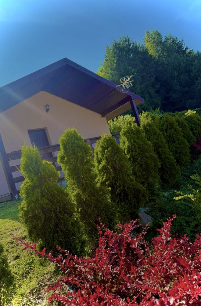 Domek na górce Wołkowyja