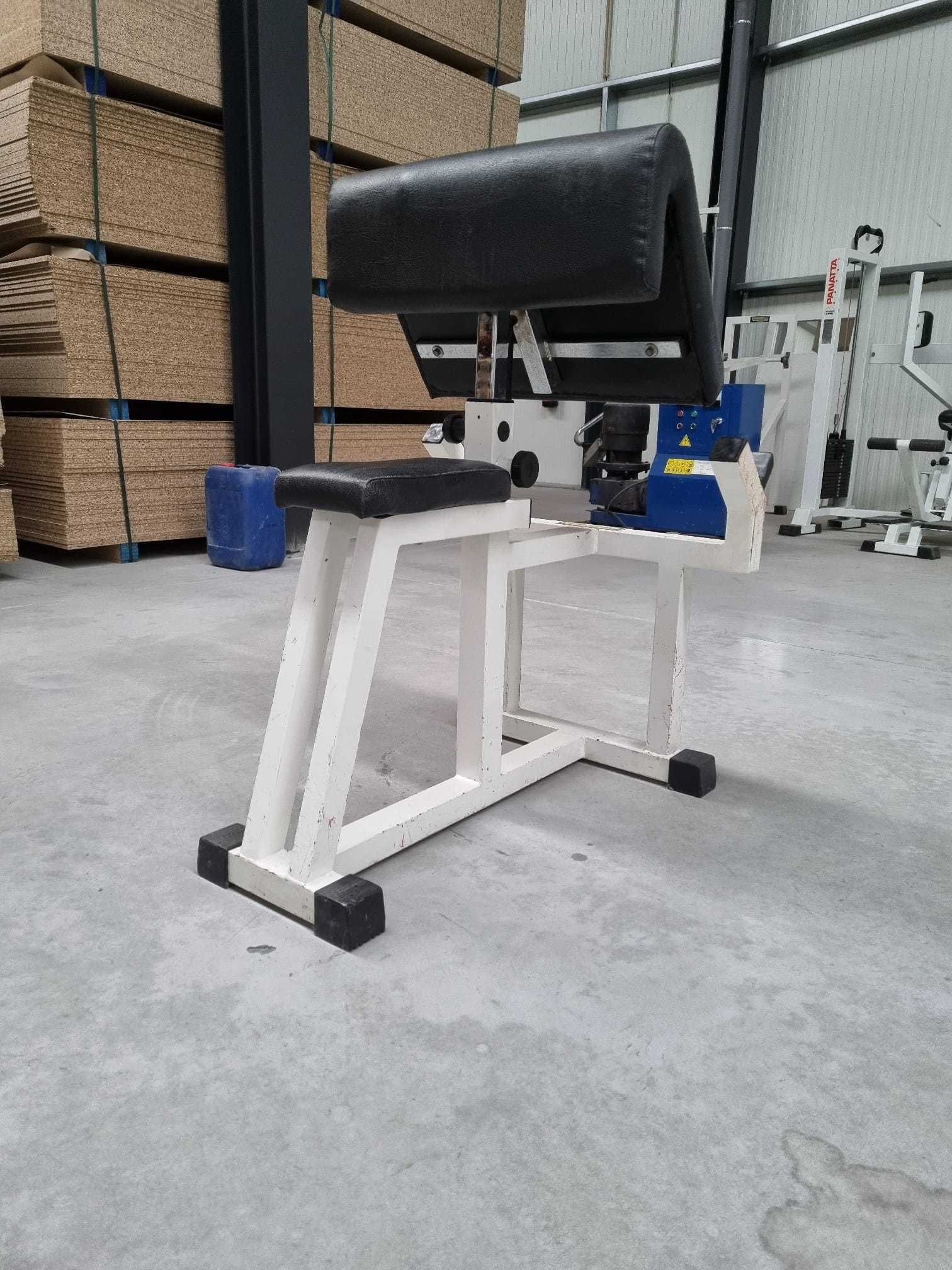 Banco Scott Technogym