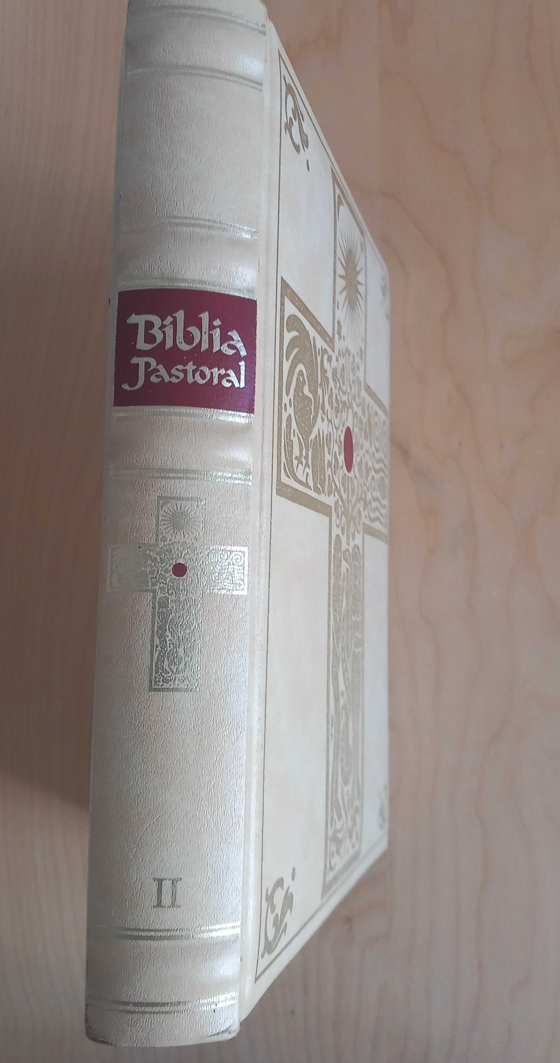 Bíblia Pastoral II Vol.: Antigo (cont.) Novo Testamento [Gustave Doré]