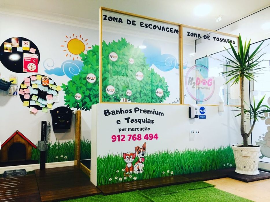 Dog Walking | Pet Sitting | Passear cães | Dogwalker | Almada