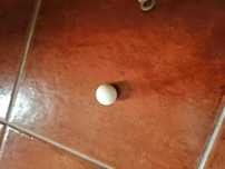 bolinha de ping pong branca