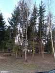 Działka budowlana Radziejowice/Kuranów - działka na sprzedaż! 1 367 m²