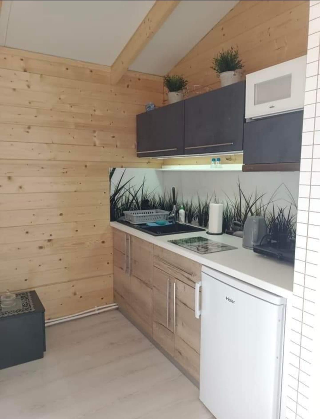 Domki nad morzem Pleśna okazja