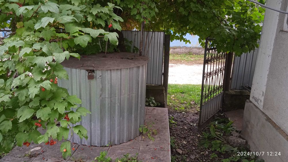 Будинок з присадибною ділянкою