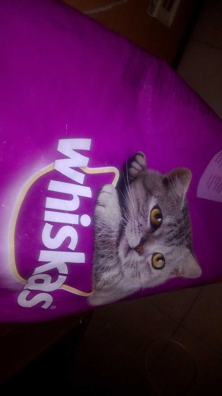 Sucha karma dla kota 2kg