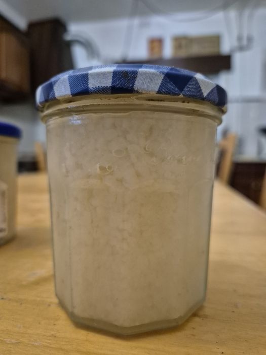 Grãos de kefir de fruta