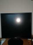 Monitor Dell 19 cali