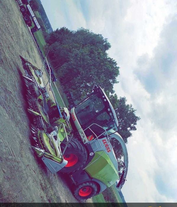 Koszenie kukurydzy transport gniecenie