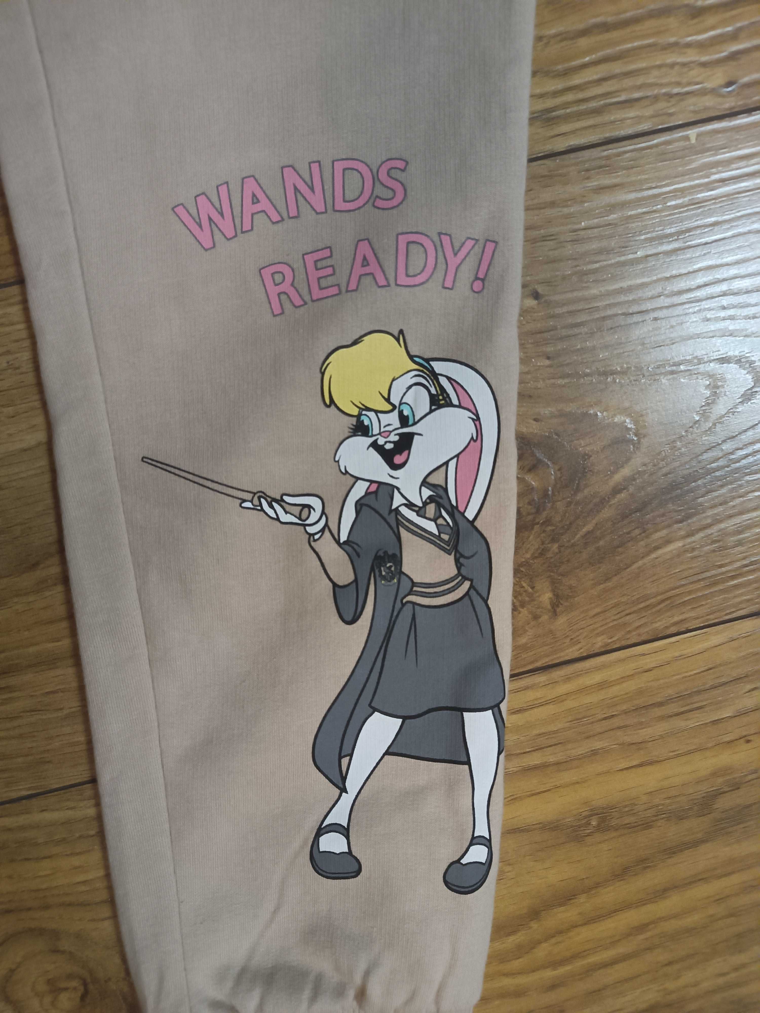 Nowe dresy/ spodnie dresowe r.134. bawełna. Kanarek Tweety, Lola bunny