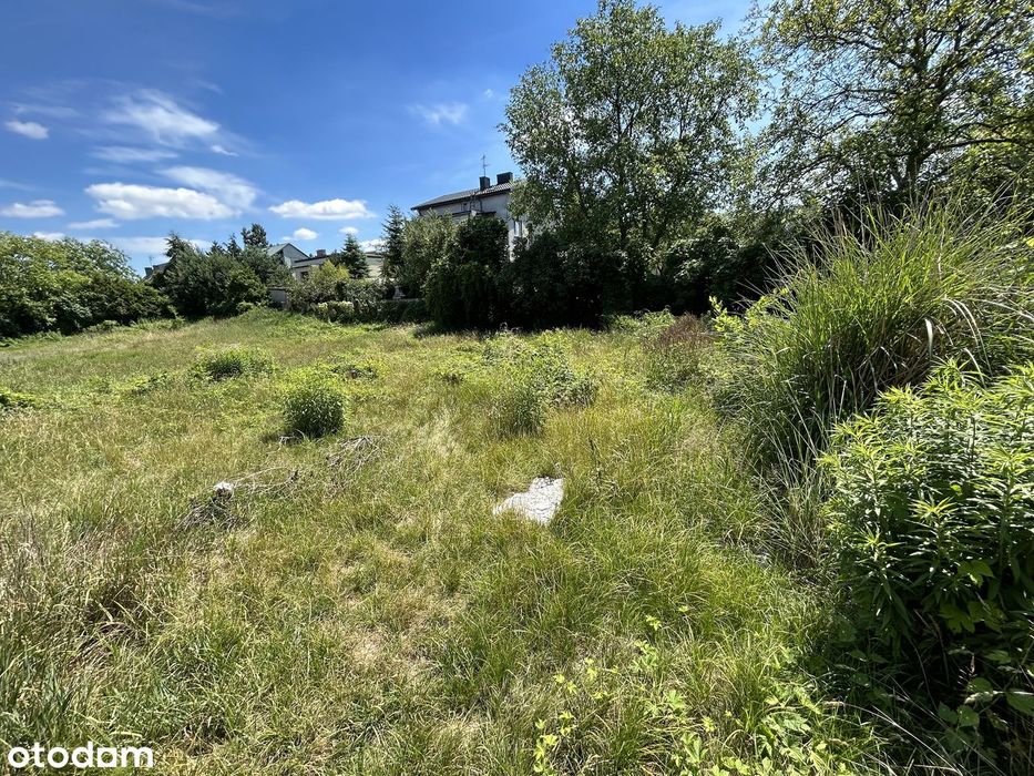 Jedyna w takiej cenie.