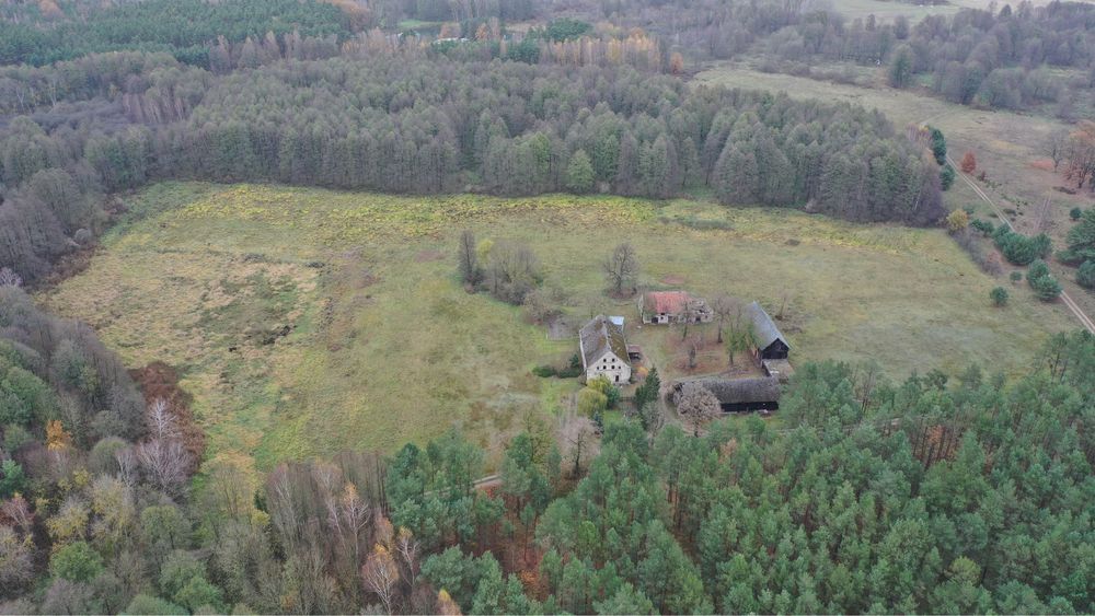 Działka budowlano-rolna 4,5ha, Jastrzębsko Stare
