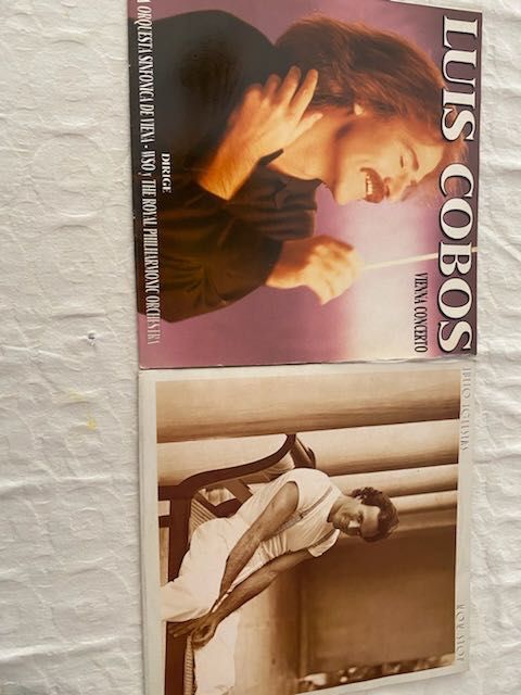 Discos vinil grandes