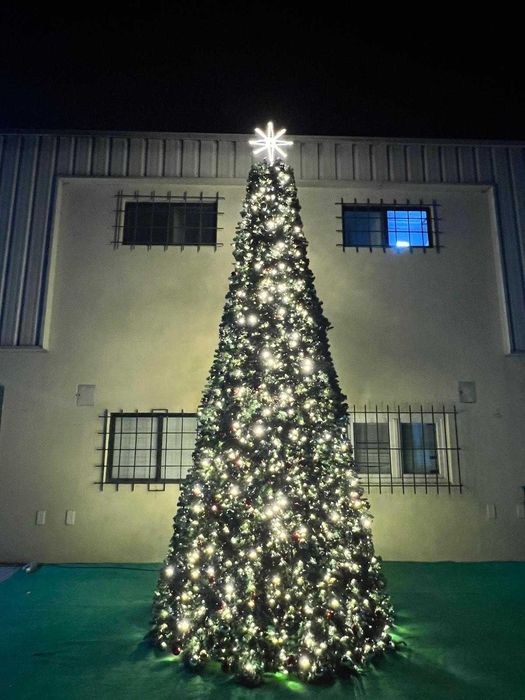 Aluguer de Arvore de Natal