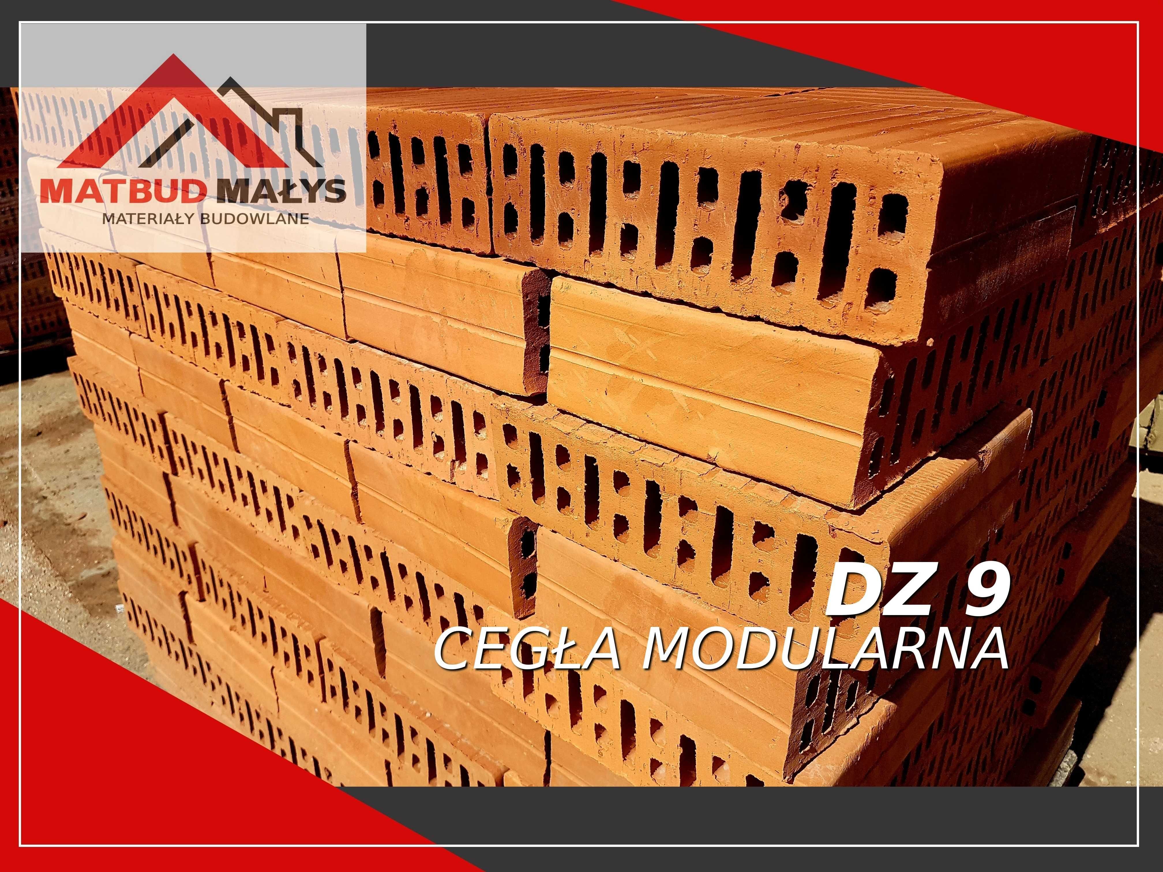 Cegła ceramiczna Modularna DZ-220, pustak, Max