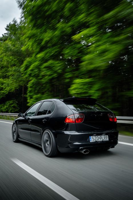 Seat Leon mk1 1.9 tdi ARL monza FR