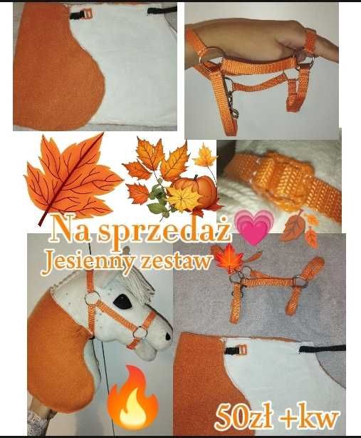 Jesienną kolekcja Hobby horse