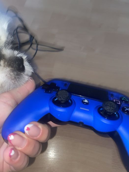 Kontroler BIGBEN Nacon Compact Niebieski (PS4)