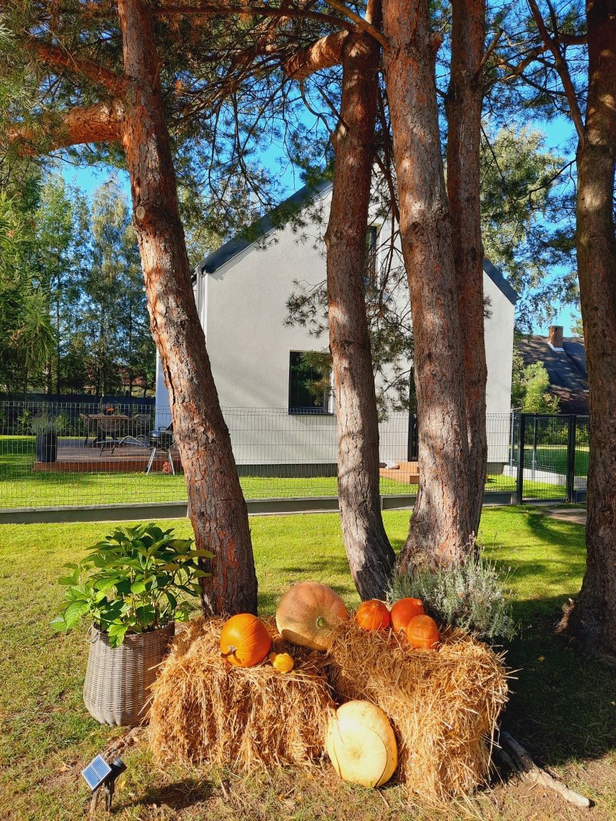 Domki nad morzem do wynajęcia - całoroczne