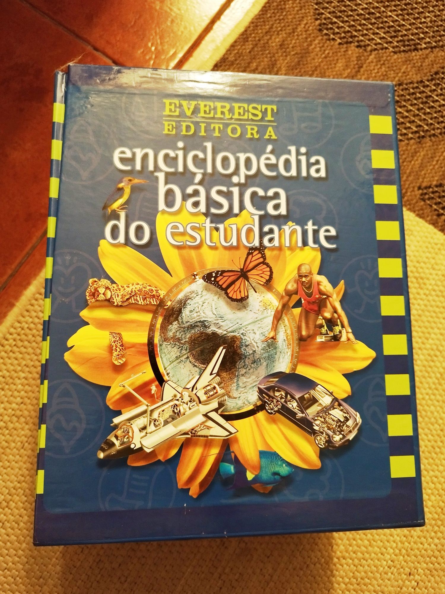 Enciclopédia básica do estudante/ Everest editora-com CDs
