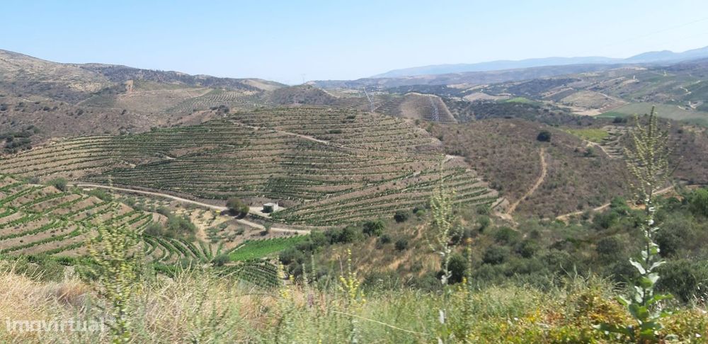 Terreno com 881m² situado na Quinta da Cornalheira, Mêd