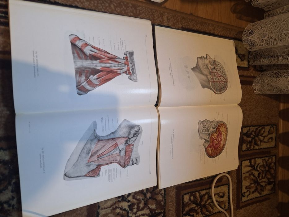 Atlas anatomii człowieka tom 1 i 3