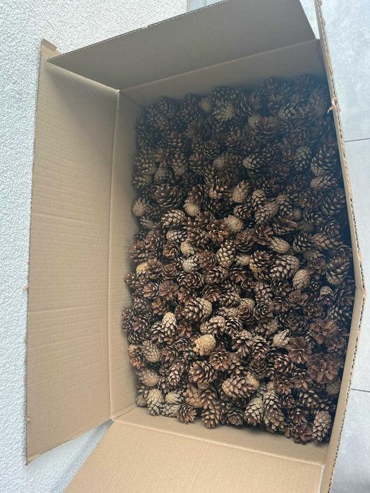 Szyszki sosnowe pozbawione nasion do ściółkowania / dekoracji 20 kg