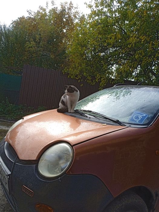 Продаж Авто робот.