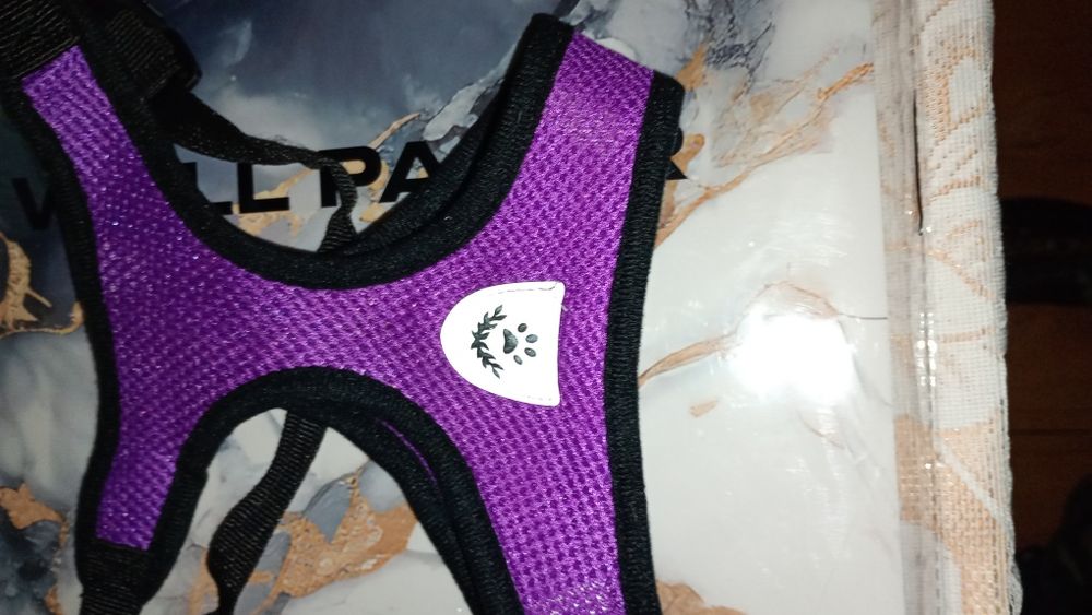 Szelki dla małego psa