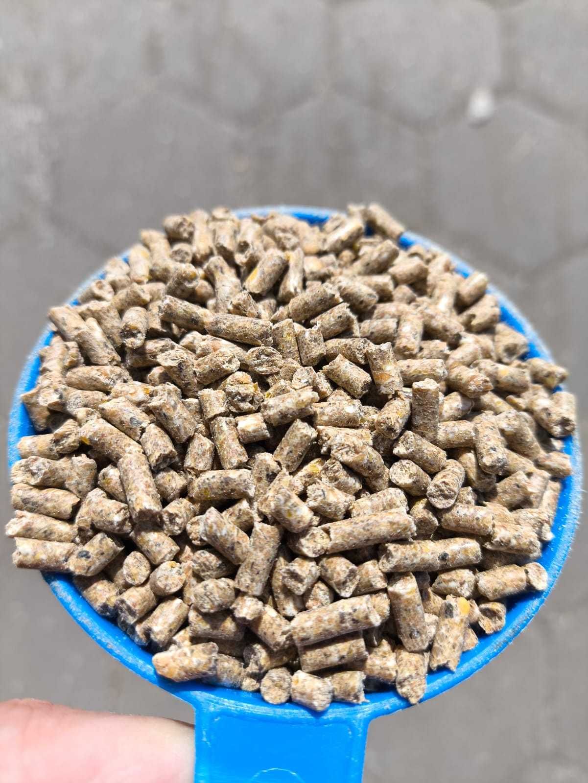 NIOSKA STAROPOLSKA- z siemieniem lnianym, granulat, 25kg