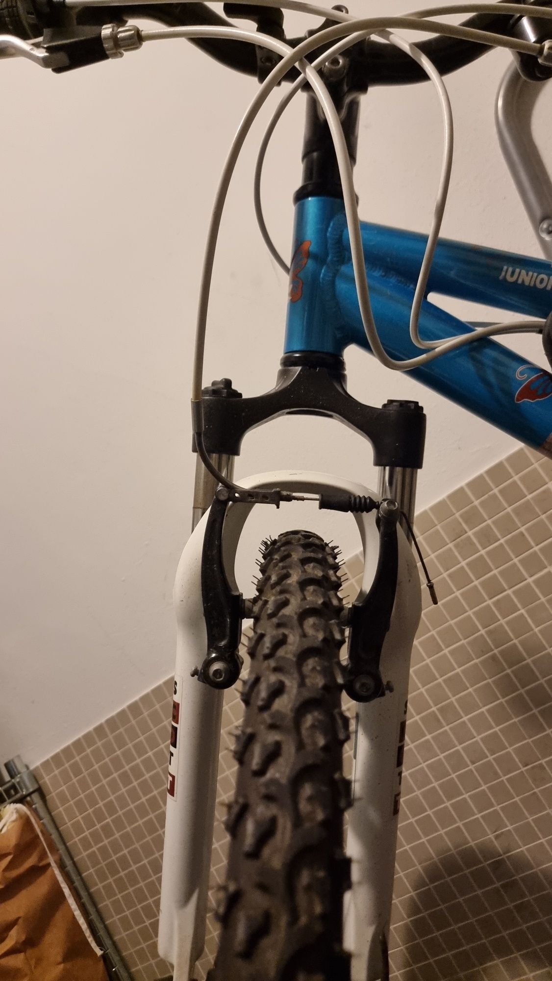 Bicicleta Scott junior 24
