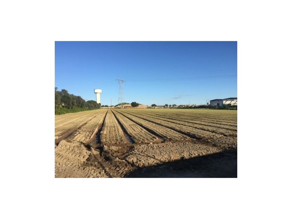 Montijo - Terreno Industrial 2,47Ha