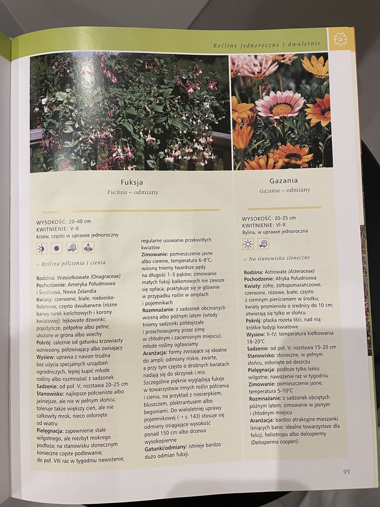 Książka Rośliny Balkonowe J. Mayer