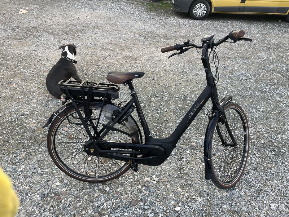 Gazelle orange c8 elektryk