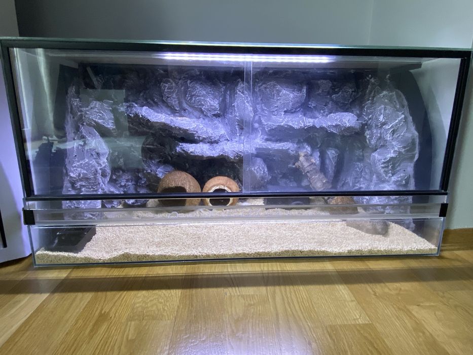 Terrarium 80 cm x40 cm np. dla gekona, agamy, żółwia, węża, pająka