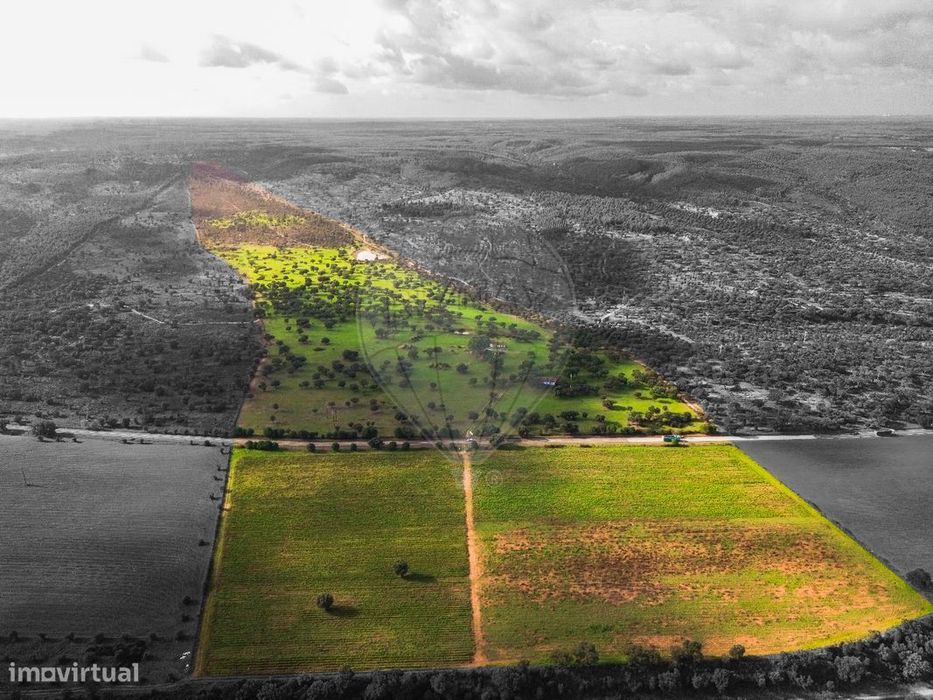 Terreno  para venda