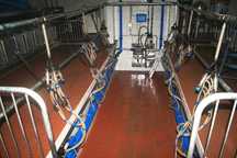 Sala de ordenha capacidade 18 cabeças