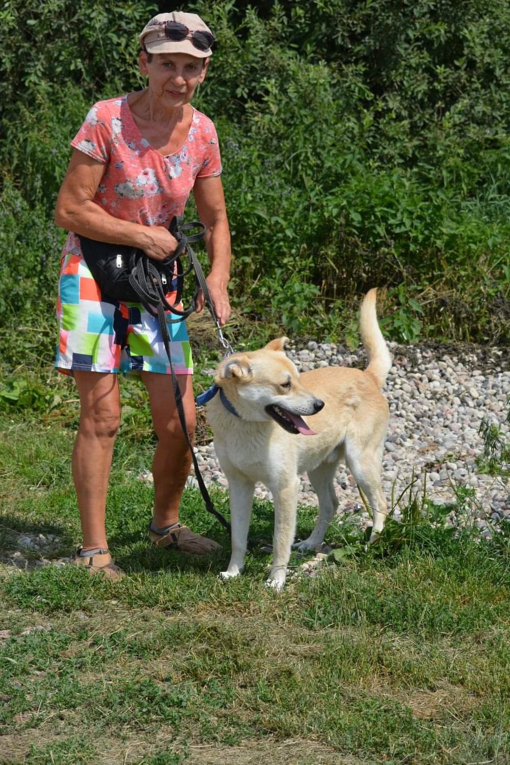 Ares pies akceptujący cały swiat.Porzucony,bezdomny,cudowny.