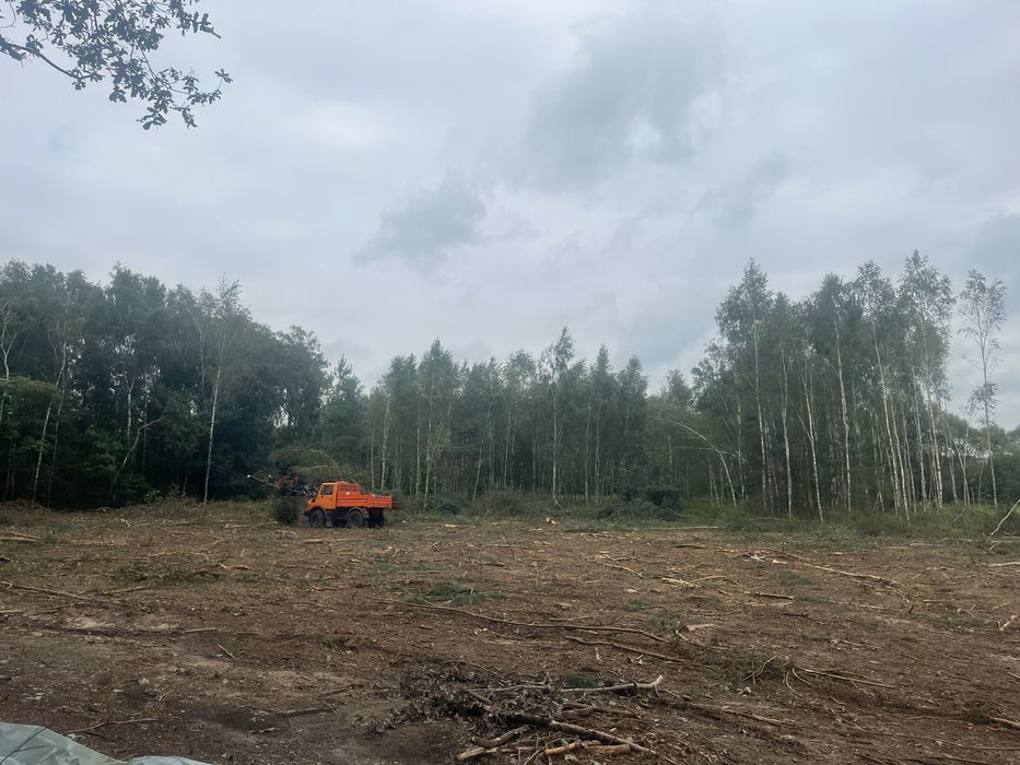 Mulczowanie usuwanie zakrzaczen samosiejek wycinka drzew czyszczenie