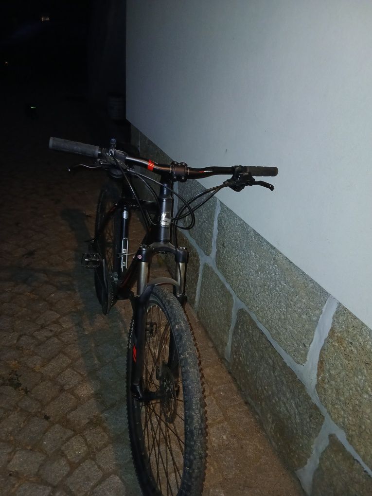 Bergamont revox 5.0